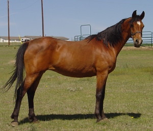 Allysia06.JPG