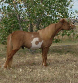 Cody9-10Rw.jpg