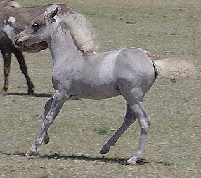 Danny6-06b.JPG