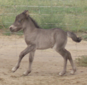 MoonShadow1week.jpg