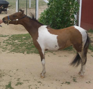 Prize6-10b.jpg